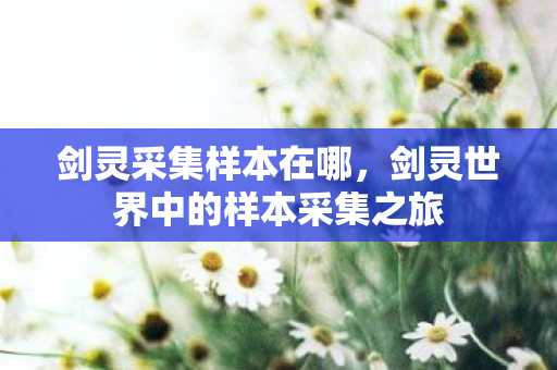 剑灵采集样本在哪，剑灵世界中的样本采集之旅