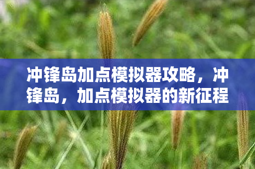 冲锋岛加点模拟器攻略，冲锋岛，加点模拟器的新征程