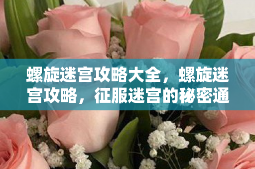 螺旋迷宫攻略大全，螺旋迷宫攻略，征服迷宫的秘密通道