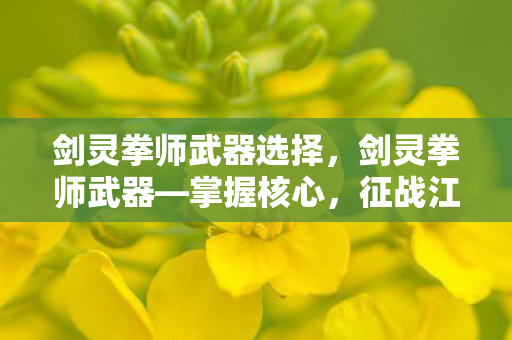 剑灵拳师武器选择，剑灵拳师武器—掌握核心，征战江湖