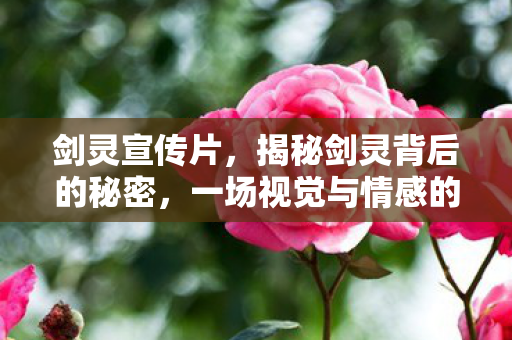 剑灵宣传片，揭秘剑灵背后的秘密，一场视觉与情感的双重盛宴