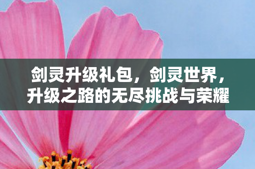 剑灵升级礼包，剑灵世界，升级之路的无尽挑战与荣耀