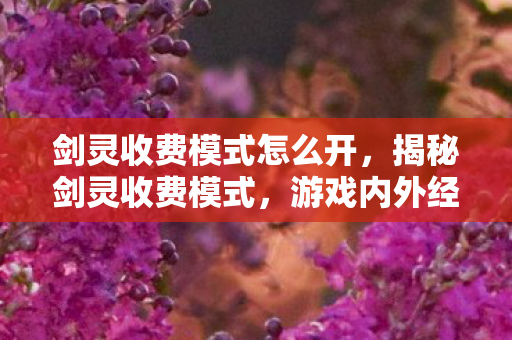 剑灵收费模式怎么开，揭秘剑灵收费模式，游戏内外经济体系深度解析