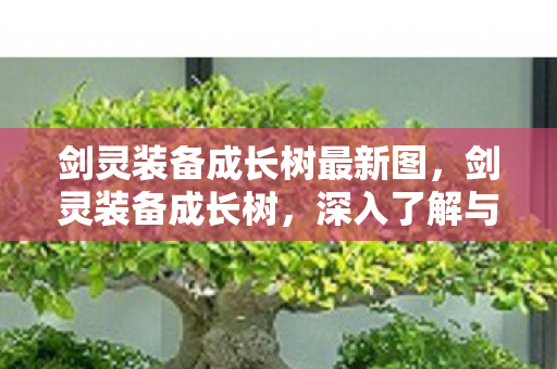 剑灵装备成长树最新图，剑灵装备成长树，深入了解与攻略指南