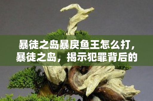 暴徒之岛暴戾鱼王怎么打，暴徒之岛，揭示犯罪背后的真相与反思社会之责任