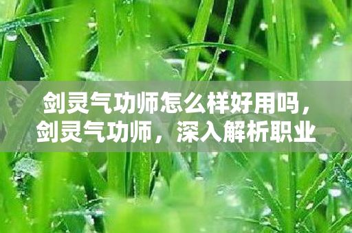 剑灵气功师怎么样好用吗，剑灵气功师，深入解析职业特色与玩法