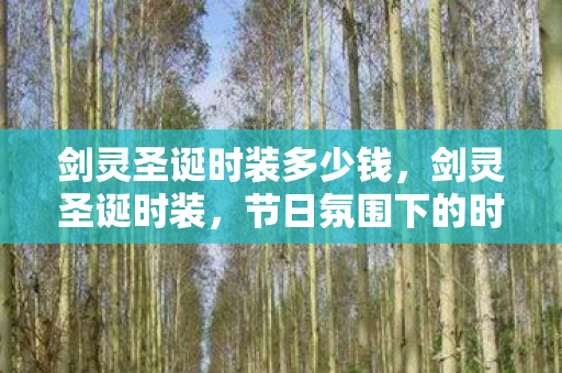 剑灵圣诞时装多少钱，剑灵圣诞时装，节日氛围下的时尚选择