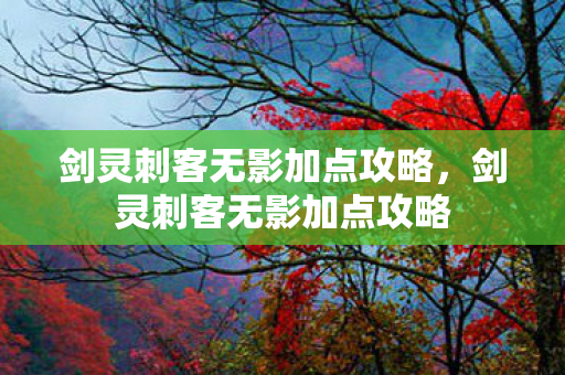 剑灵刺客无影加点攻略，剑灵刺客无影加点攻略