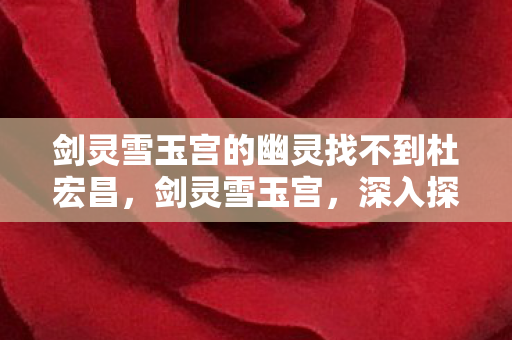 剑灵雪玉宫的幽灵找不到杜宏昌，剑灵雪玉宫，深入探索神秘之地