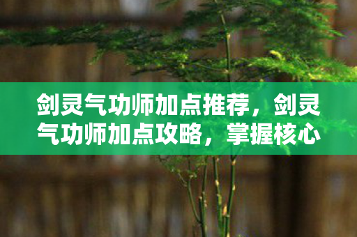 剑灵气功师加点推荐，剑灵气功师加点攻略，掌握核心技能，轻松提升战斗力