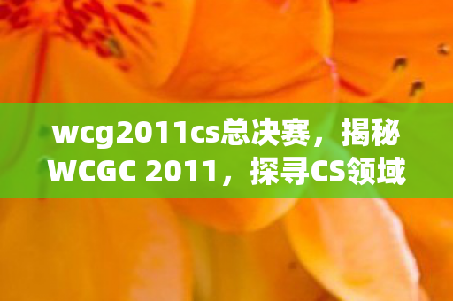 wcg2011cs总决赛，揭秘WCGC 2011，探寻CS领域的巅峰之战
