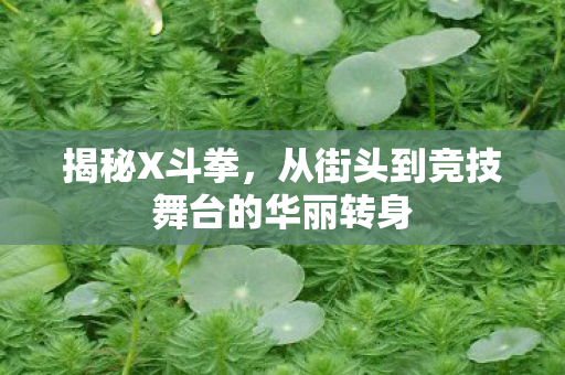 揭秘X斗拳，从街头到竞技舞台的华丽转身
