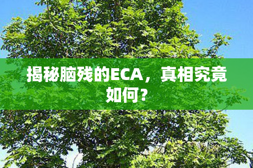 揭秘脑残的ECA，真相究竟如何？