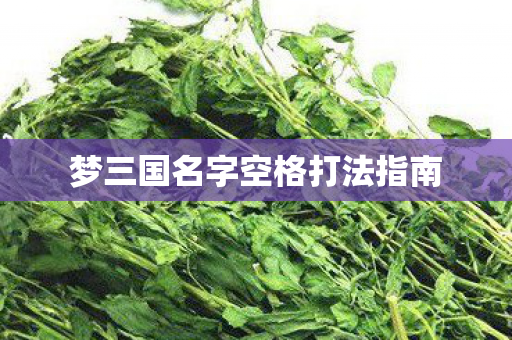 梦三国名字空格打法指南