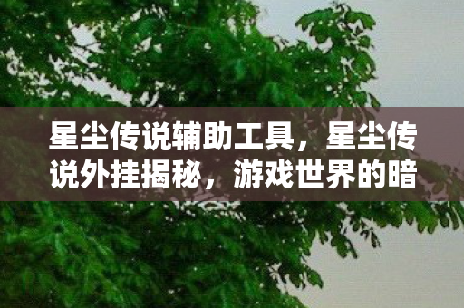 星尘传说辅助工具，星尘传说外挂揭秘，游戏世界的暗流涌动