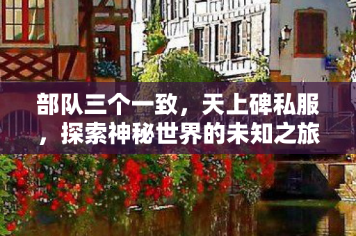 部队三个一致，天上碑私服，探索神秘世界的未知之旅