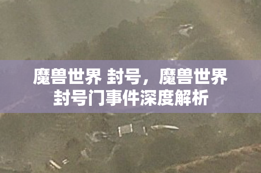 魔兽世界 封号，魔兽世界封号门事件深度解析