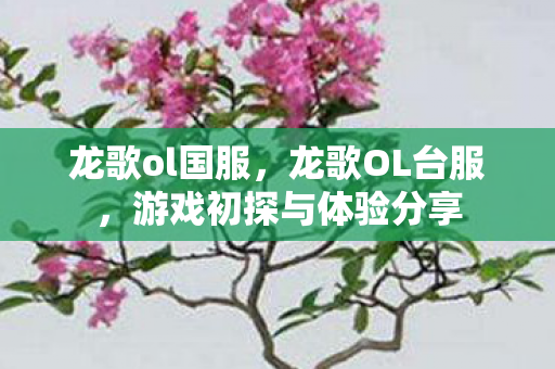 龙歌ol国服，龙歌OL台服，游戏初探与体验分享