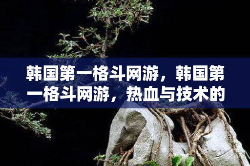 韩国第一格斗网游，韩国第一格斗网游，热血与技术的完美结合