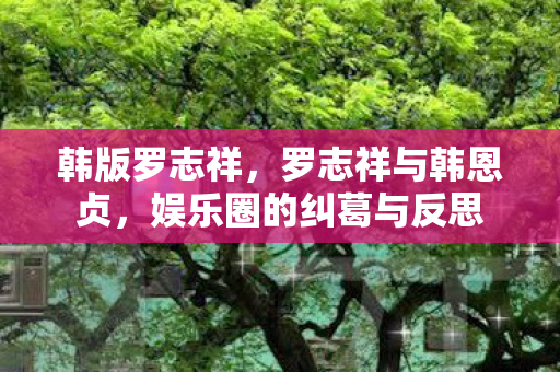 韩版罗志祥，罗志祥与韩恩贞，娱乐圈的纠葛与反思