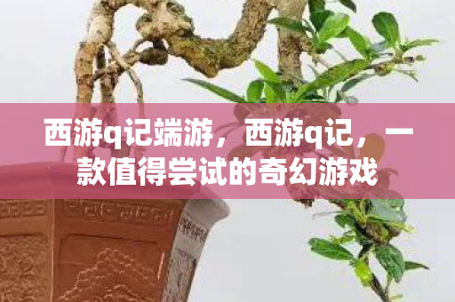 西游q记端游，西游q记，一款值得尝试的奇幻游戏