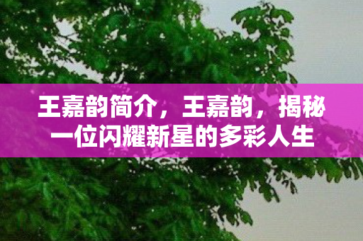 王嘉韵简介，王嘉韵，揭秘一位闪耀新星的多彩人生