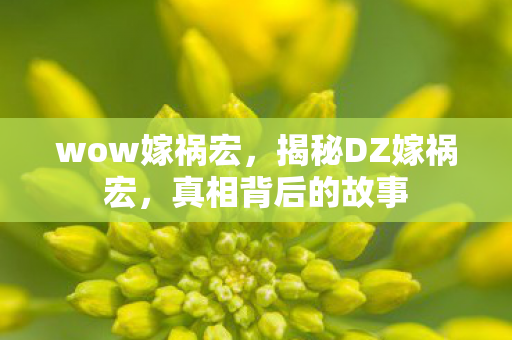 wow嫁祸宏，揭秘DZ嫁祸宏，真相背后的故事