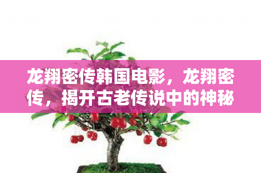 龙翔密传韩国电影，龙翔密传，揭开古老传说中的神秘面纱