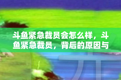 斗鱼紧急裁员会怎么样，斗鱼紧急裁员，背后的原因与未来展望