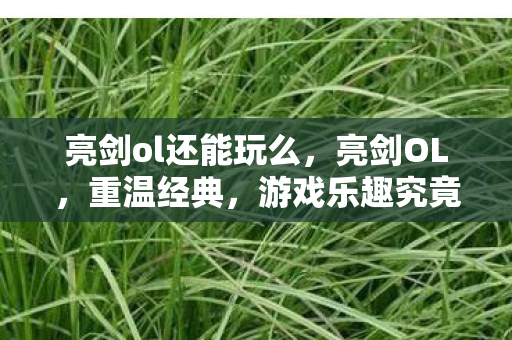 亮剑ol还能玩么，亮剑OL，重温经典，游戏乐趣究竟如何？