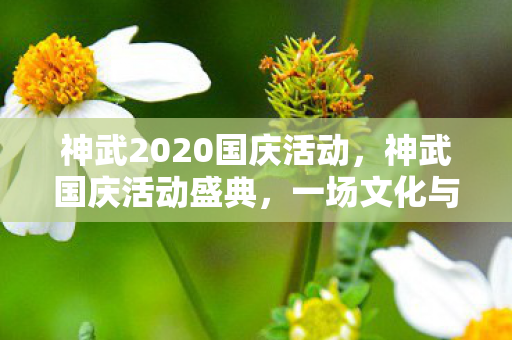 神武2020国庆活动，神武国庆活动盛典，一场文化与游戏的盛宴
