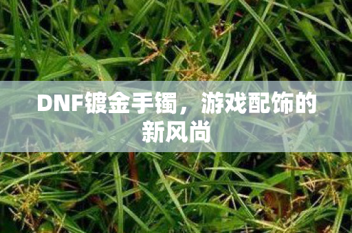DNF镀金手镯，游戏配饰的新风尚