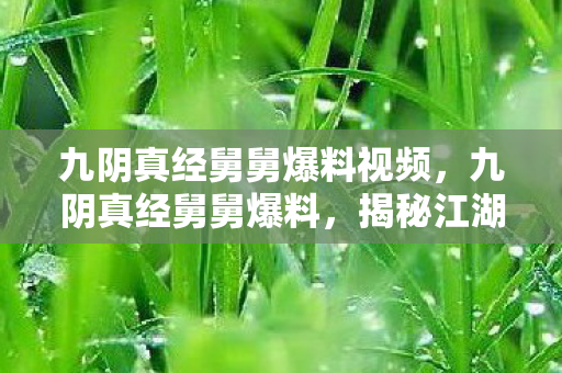 九阴真经舅舅爆料视频，九阴真经舅舅爆料，揭秘江湖传说中的绝世武学秘籍