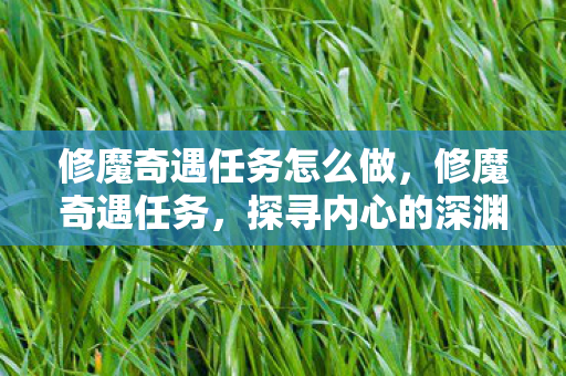 修魔奇遇任务怎么做，修魔奇遇任务，探寻内心的深渊与成长的磨砺