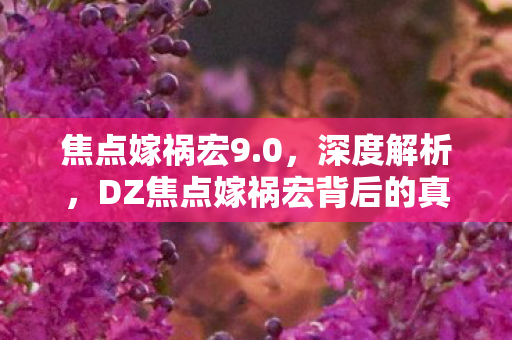 焦点嫁祸宏9.0，深度解析，DZ焦点嫁祸宏背后的真相与启示