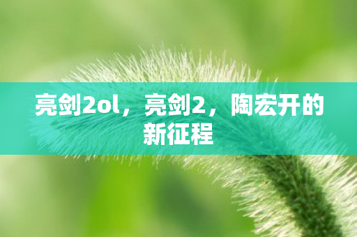 亮剑2ol，亮剑2，陶宏开的新征程