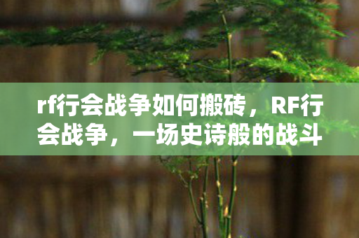 rf行会战争如何搬砖，RF行会战争，一场史诗般的战斗盛宴