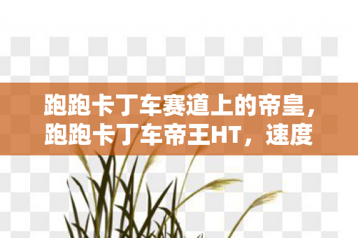 跑跑卡丁车赛道上的帝皇，跑跑卡丁车帝王HT，速度与激情的极致追求