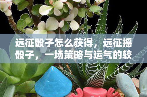 远征骰子怎么获得，远征摇骰子，一场策略与运气的较量