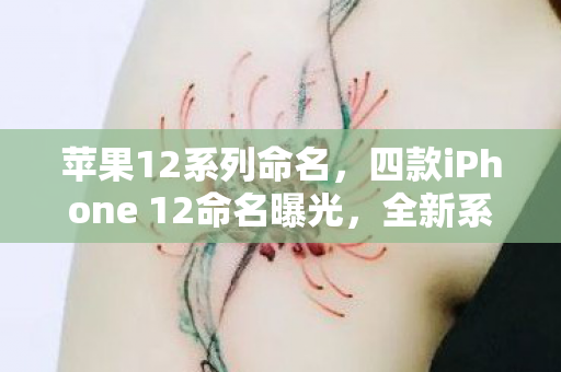 苹果12系列命名，四款iPhone 12命名曝光，全新系列引领科技潮流