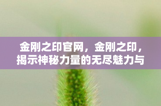 金刚之印官网，金刚之印，揭示神秘力量的无尽魅力与深层含义