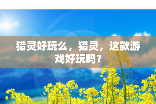 猎灵好玩么，猎灵，这款游戏好玩吗？