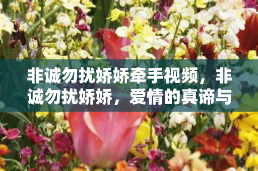 非诚勿扰娇娇牵手视频，非诚勿扰娇娇，爱情的真谛与自我追求