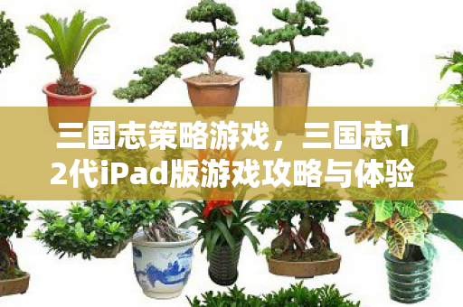 三国志策略游戏，三国志12代iPad版游戏攻略与体验分享