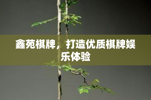 鑫苑棋牌，打造优质棋牌娱乐体验