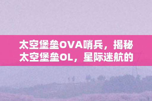 太空堡垒OVA哨兵，揭秘太空堡垒OL，星际迷航的无限魅力与独特体验