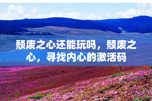 颓废之心还能玩吗，颓废之心，寻找内心的激活码