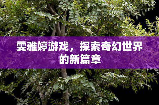 雯雅婷游戏，探索奇幻世界的新篇章