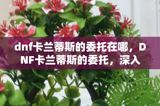 dnf卡兰蒂斯的委托在哪，DNF卡兰蒂斯的委托，深入解析新冒险之旅
