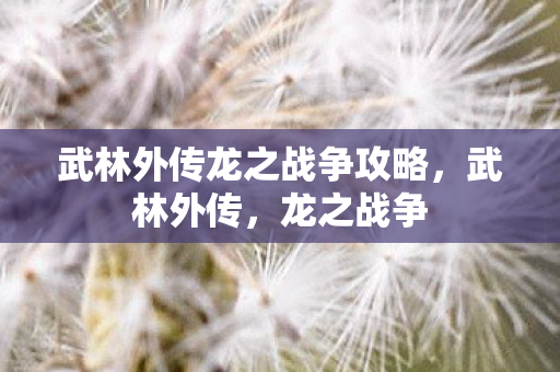 武林外传龙之战争攻略，武林外传，龙之战争